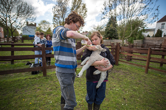 A young man and girl feeding a lamb