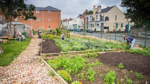 allotment