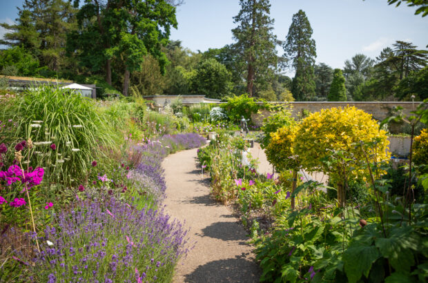 A photo of a path in the walled garden of the Museum in the Park.