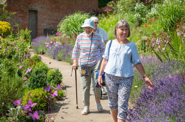 Three ladies walking along a path in the Museum in the Park's walled garden. The one at the front is smiling at the camera and touching some lavendar.