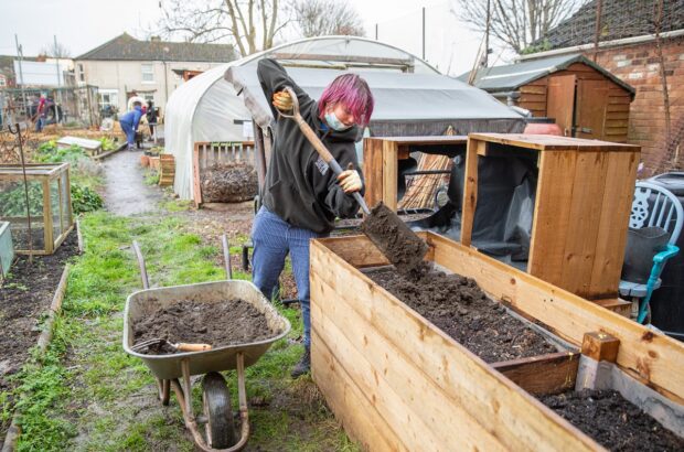 At our allotment. A young person standing by a wheelbarrow uses a shovel to move soil into a wooden planter.