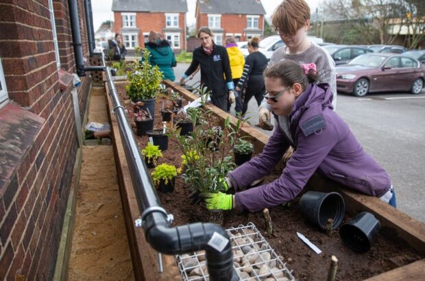 A woman with gardening gloves holding a plant, about to put it in some soil in a planter. The background has more people doing the same.