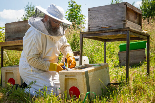 Reyaz kneeling down and cutting the tape off a nuc of bees so the frames can be removed.