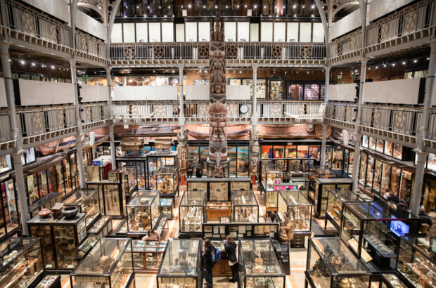 Looking down from a higher level at all the ground floor display cases full of items.