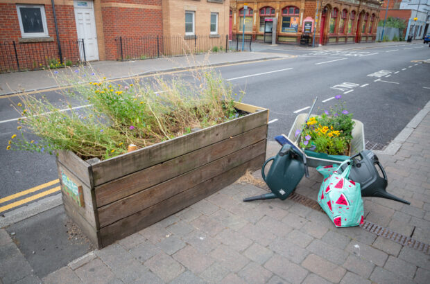 A planter on Barton Street with a wheelbarrow full of plants next to it. The planter itself has some trash in it and overgrown plants with weeds.