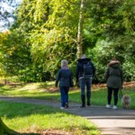 Three ladies, one with a dog, walking with their backs to the camera down a path surrounded by trees.