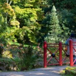 Photo of Batswood Arboreteum with a lady standing on a red bridge on the bottom right.