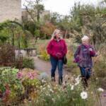 Two older ladies walking along a path in the walled garden at the Museum in the Park, at Stratford Park. The flowers are in bloom.