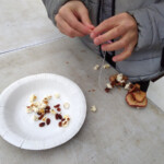 A childs hands threading popcorn and dried fruits onto a length of string,