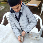 A young boy uses a spoon to push a mix of fat and seeds into half a coconut shell.