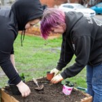 Two young people potting up some plants.