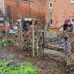 Rachel watching as two young people repair the grape vine area.