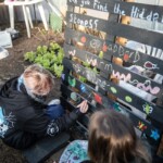 A young person sitting down and painting on some wooden slats.