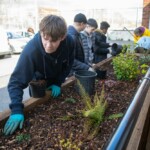 A row of five young people alongside a wooden planter, shifting the soil and planting various plants.