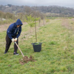 A person in a hoody and sunglasses uses a shovel to dig a hole at Gloucester Services Growing Space. There's a tree in a pot waiting to be planted.