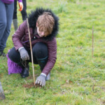 A young lady patting some soil down around the base of a newly planted tree in the Gloucester Services Growing Space.