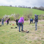 A wide shot of the growing space at Gloucester Services. A group of people armed with shovels are digging holes for trees to go into.