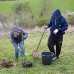 Two people at the Growing Space at Gloucester Services. One is holding a shovel and has just finished digging a hole in the grass. A woman is holding a tree, about to plant it.