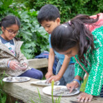 Three kids bent or sitting over a bench with some plates that have clay on. They're using water to pat it down.