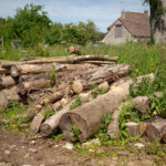 Pile of wooden logs at Lower Woods.