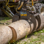 Close up of a crane hand closing itself around a wooden log.