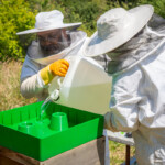 Ruth and Reyaz holding a jug of syrup and pouring it into a feeder on a hive.