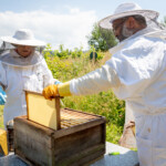 Reyax lifting a frame out of a hive and showing it to Ruth.
