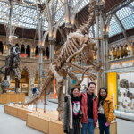 Three people smiling happily infront of a dinosaur skeleton.
