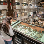 Mandy looking at a glass display full of old blades.