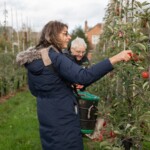 Claire picking an apple in the foreground with Kathy in the background.