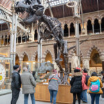 A group of people looking at a dinosaur skeleton.