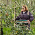 Lady smiling as she holds a bucket full of apples.