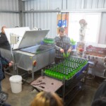 People watching as apple juice is bottled.