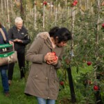 Participant with a handful of apples in the forefront, with two more people in the background.