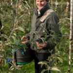 Participant with a bucket picking apples.