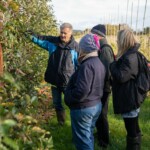 Group of people standing in an apple orchard. One of the group is explaining something to the others.
