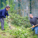 A man and a woman clearing overgrowth. The woman is using some garden shears and the man is using a pitchfork.