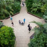 Top down view of some participants in a greenhouse.