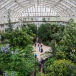 Photo taken from second floor of the greenhouse, showing participants on the ground floor.