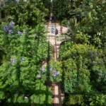 Top down photo of the inside of a greenhouse, with the participants walking.