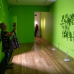 Participant taking a photo of an indoor art exhibit. The room is entirely green, with wooden floors. The exhibit uses light to create shadows.