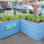 Planter outside Budgens on Barton Street, now painted a bright pastel blue and with a variety of plants in.