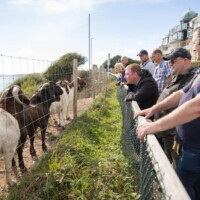 Group of participants standing along a fence, looking at goats.