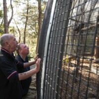 Gary and Jack looking at some exotic birds in an outdoor enclosure.