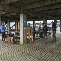 Group of participants looking at the underside of a pier.