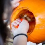 A hand holding a scoop, removing the insides of a pumpkin.
