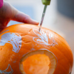 A close up shot of a knife carving out a shell shape on a hollowed out pumpkin.