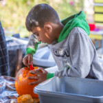 A young boy in a grey hoodie scooping out the insides of a pumpkin.