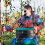 Participant smiling as they pick an apple to put in their basket.