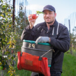 Pete smiling and holding up an apple he picked near his face.